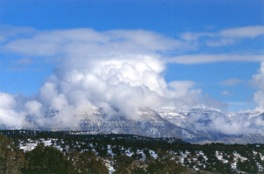 kuoPu1