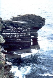 form2_large